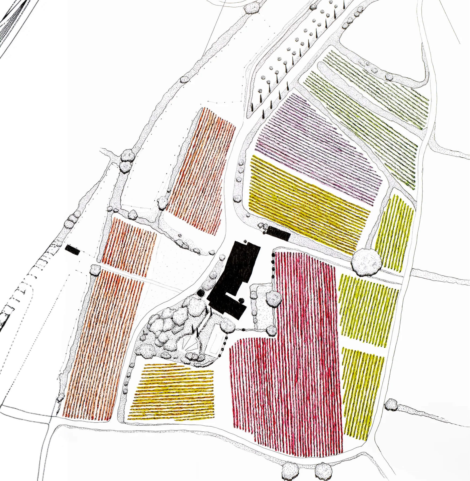 Cartes des parcelles de vigne