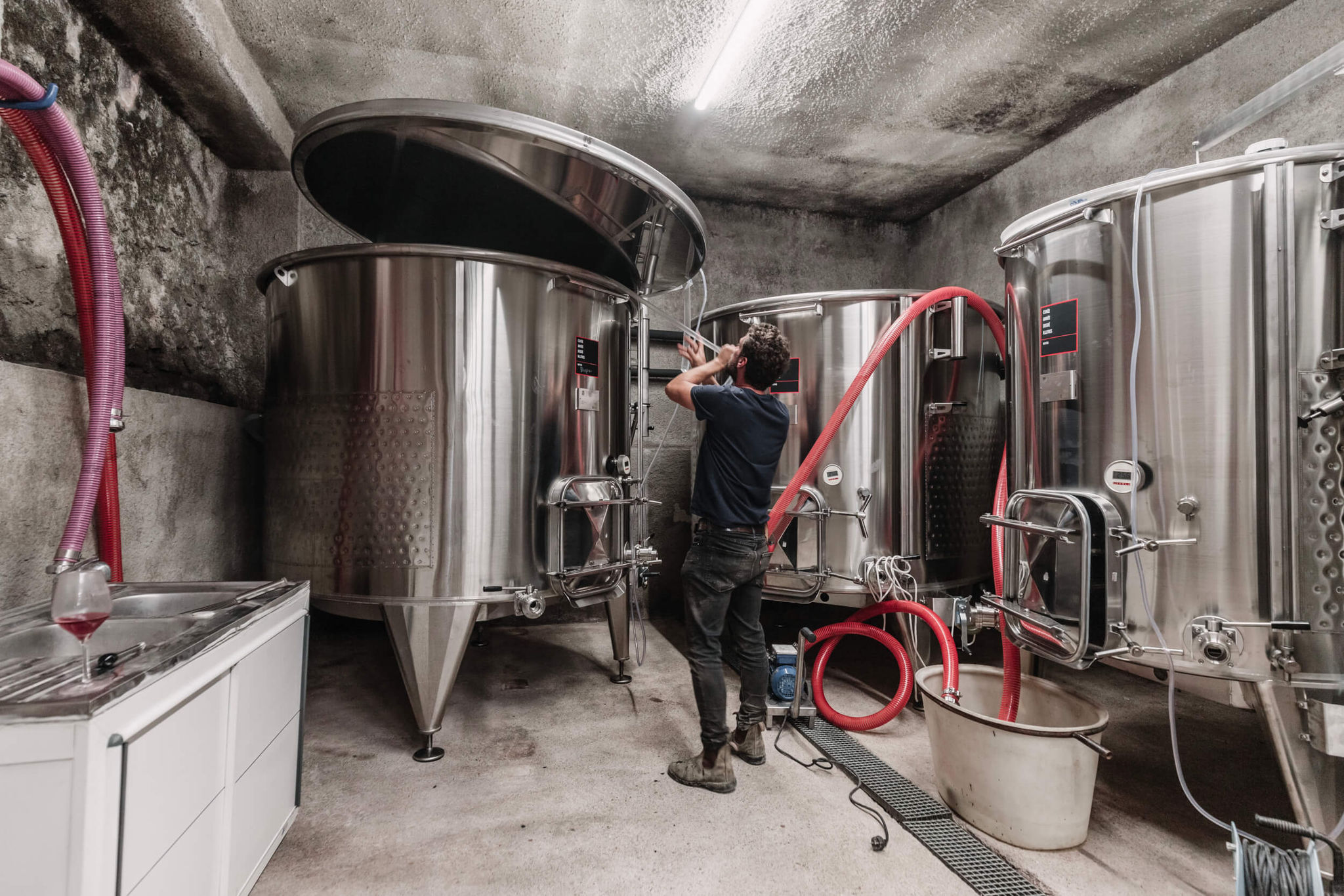 Vinification à Salente