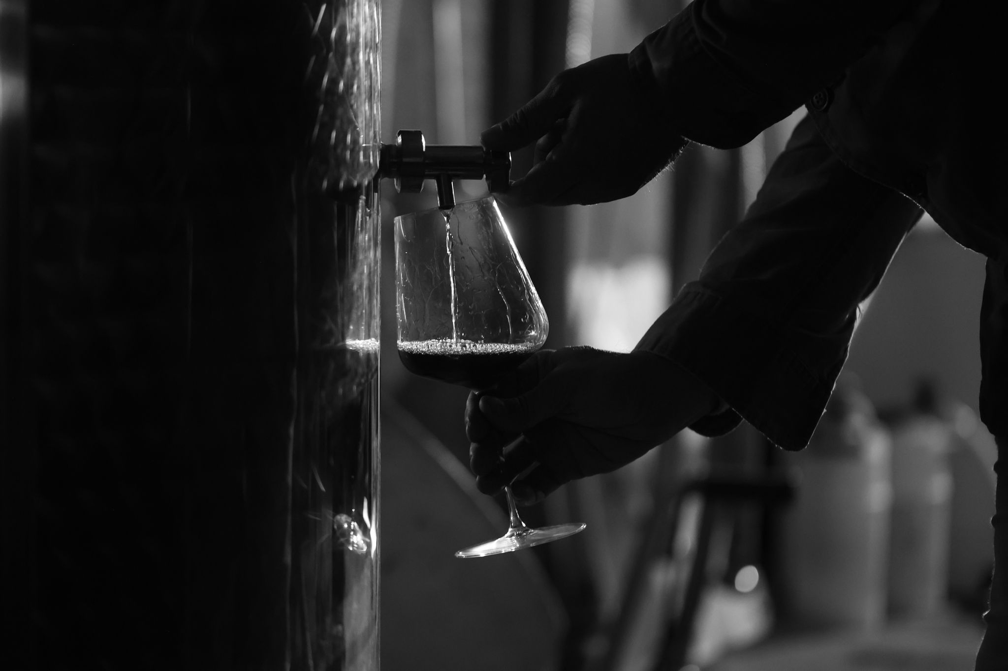 Nos vins - Mas De Salente 2026