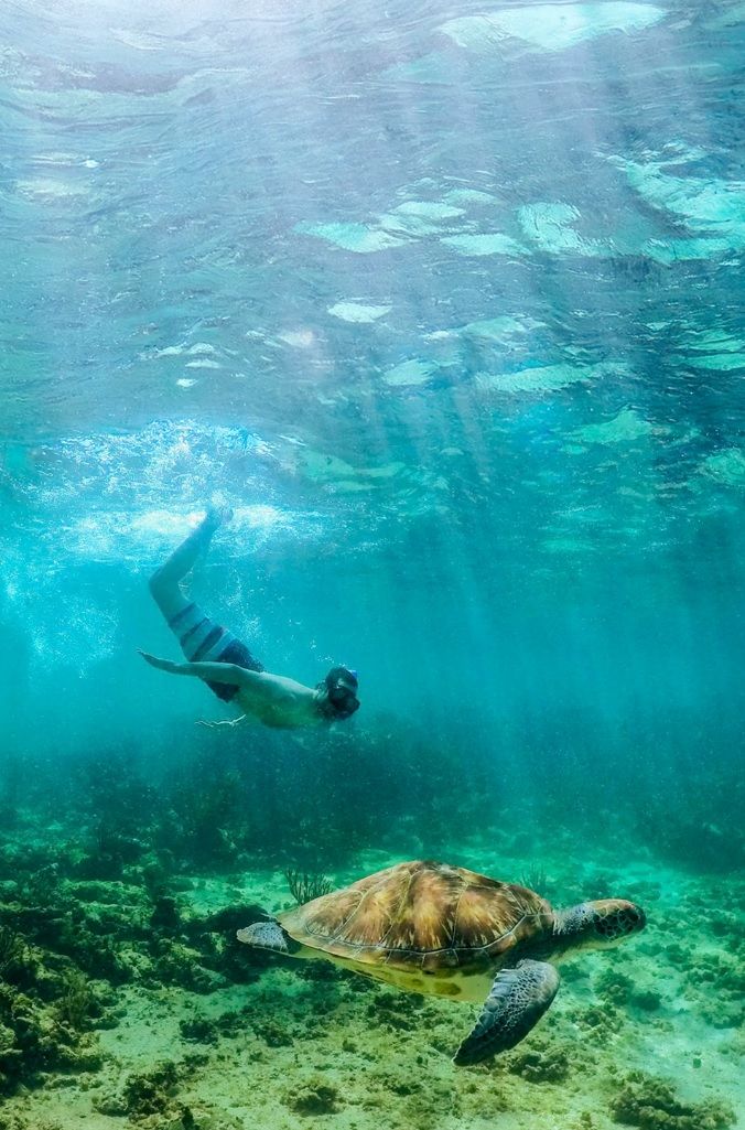 Cancun Airport to Akumal Transfers
