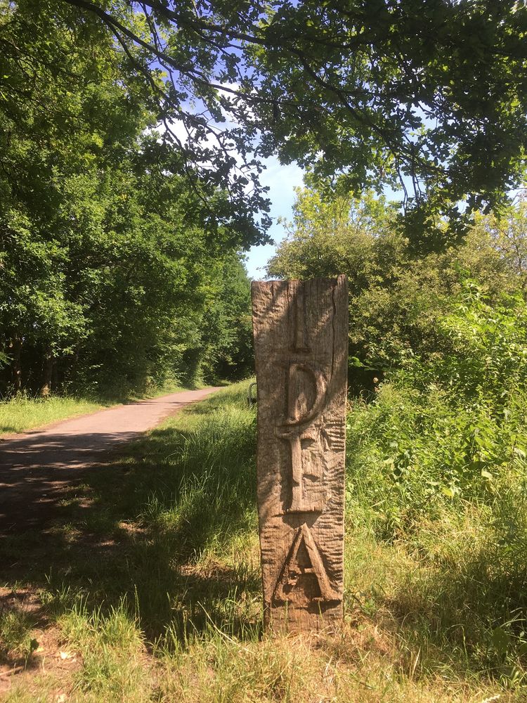 Hair Cuts Cuckoo Trail East Sussex