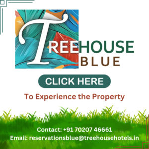 Treehouse Blue