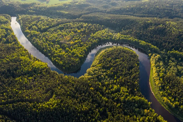 Exemplary Midwifery in the remotest Amazon saves the Womb.