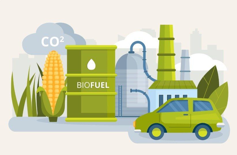 India’s ethanol blended petrol programme balances food security, farmer welfare and energy security