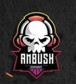 AMBUSH ESPORTS