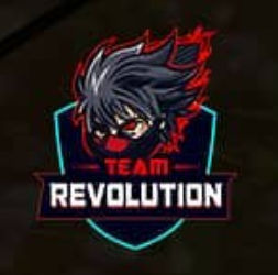 Team Revolution