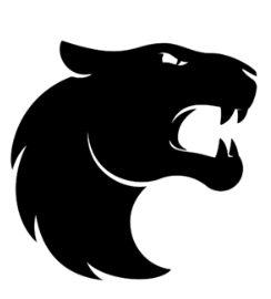 FURIA Esports