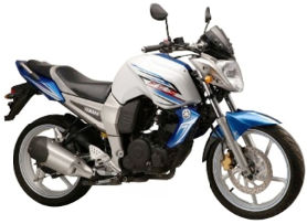 fzs 2011 model