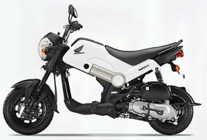 Honda Navi 110 Shasta White