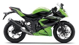 Kawasaki RR Mono Green