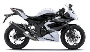 Kawasaki RR Mono White