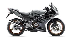 Kawasaki Ninja 150 RR (Grey)