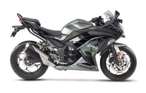 Kawasaki Ninja 300 Metallic Moondust Gray