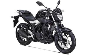 Yamaha MT-25 Black Strike