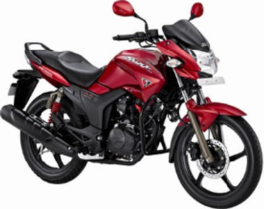 Hero Honda Hunk SE