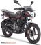 2017 Bajaj Pulsar 135 Front 3-Quarter