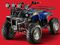 Evolet Warrior Electric Quad Bike