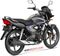 Honda CB Shine Rear 3-Quarter