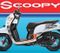 Honda Scoopy Side View