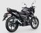 TVS Raider 125 Black Panther Edition Rear 3-Quarter View