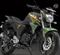 Yamaha FZS Version 2.0 Matt Green Edition