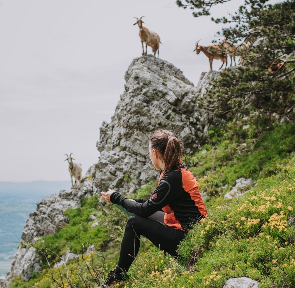 A girl sitting on a mountain with a goat in the background.