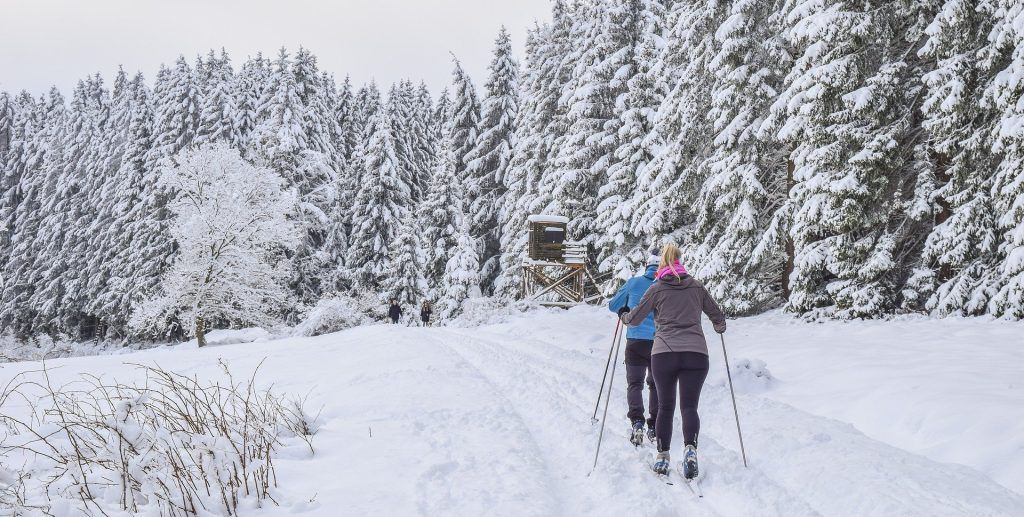 Man and lady cross skiing on a snowy path.