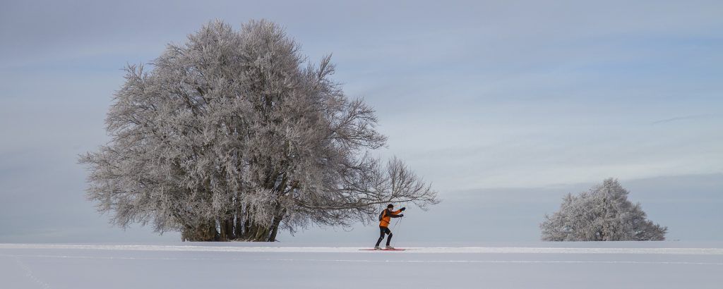 Man cross skiing on a snowy field.