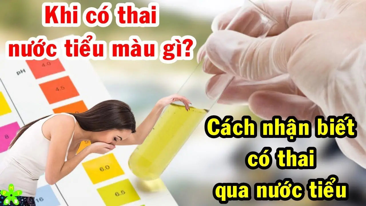 Cách Nhận Biết Có Thai Qua Nước Tiểu: Hướng Dẫn Chi Tiết