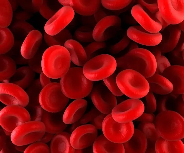 Dấu hiệu bị băng huyết: Những điều cần biết