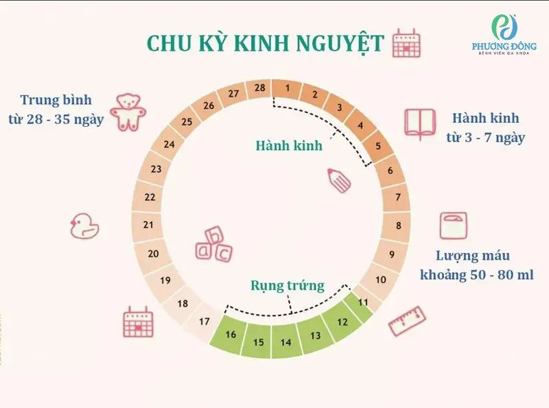 Dấu hiệu có thai sau khi hết kinh: Những điều cần biết 2 Dấu hiệu có thai sau khi hết kinh: Những điều cần biết