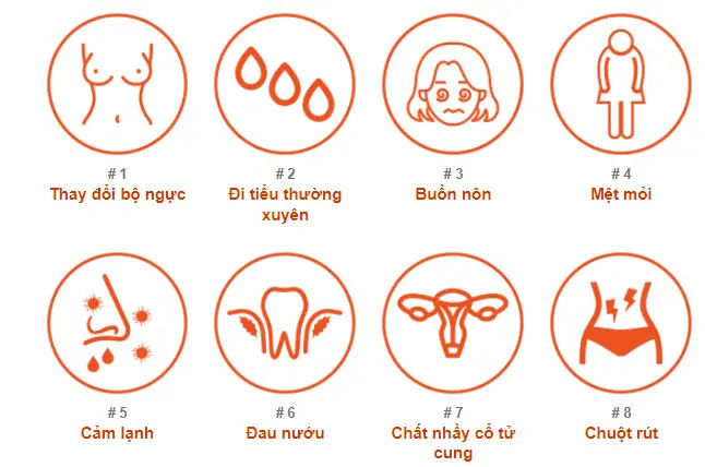 Dấu hiệu mang thai sớm: Nhận biết để chăm sóc sức khỏe tốt nhất 1 dấu hiệu mang thai sớm
