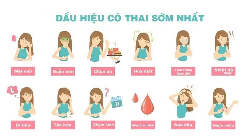 dấu hiệu thụ thai sau 2 ngày quan hệ