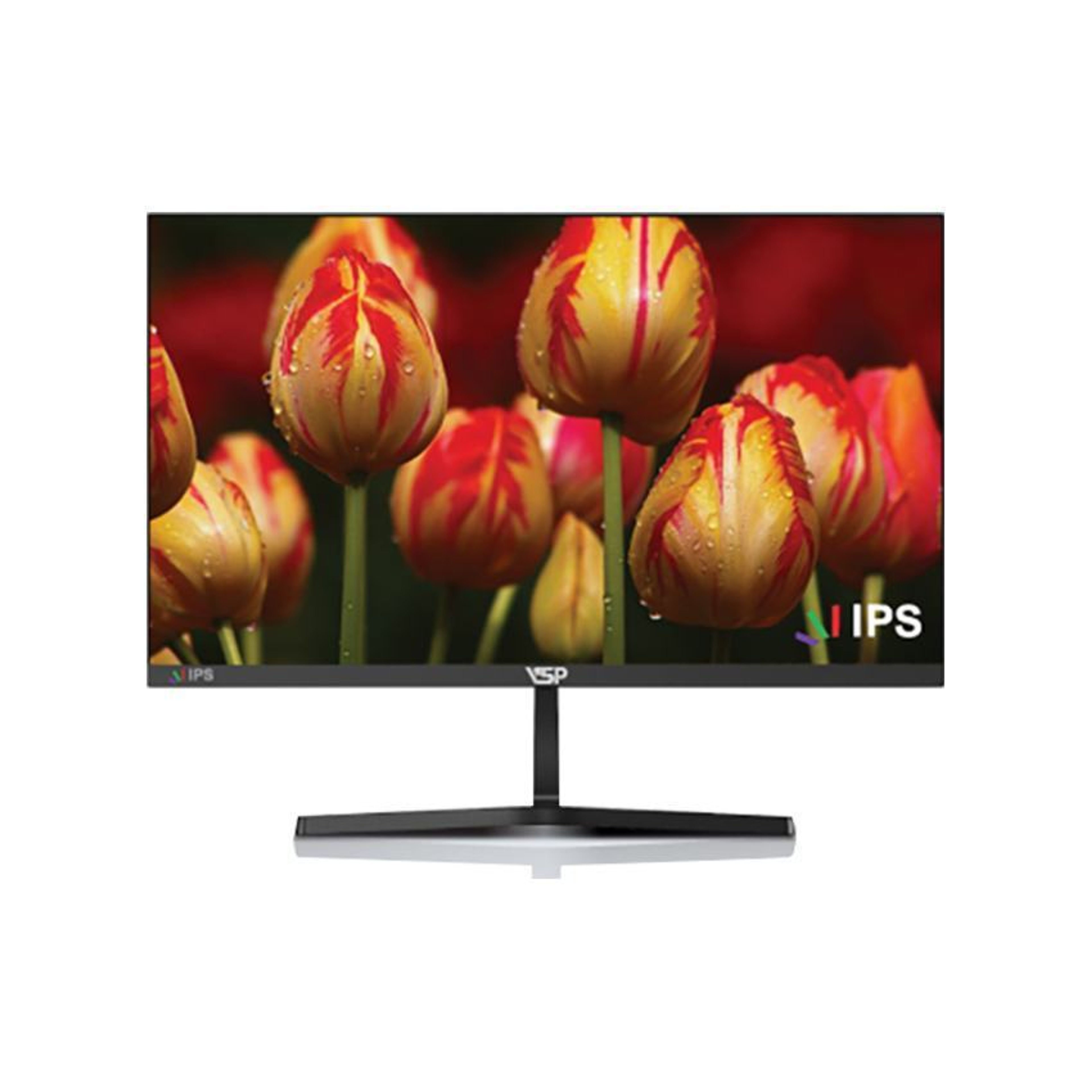 Màn hình VSP IP2407S (23.8 inch/FHD/IPS/100Hz/1ms) 0