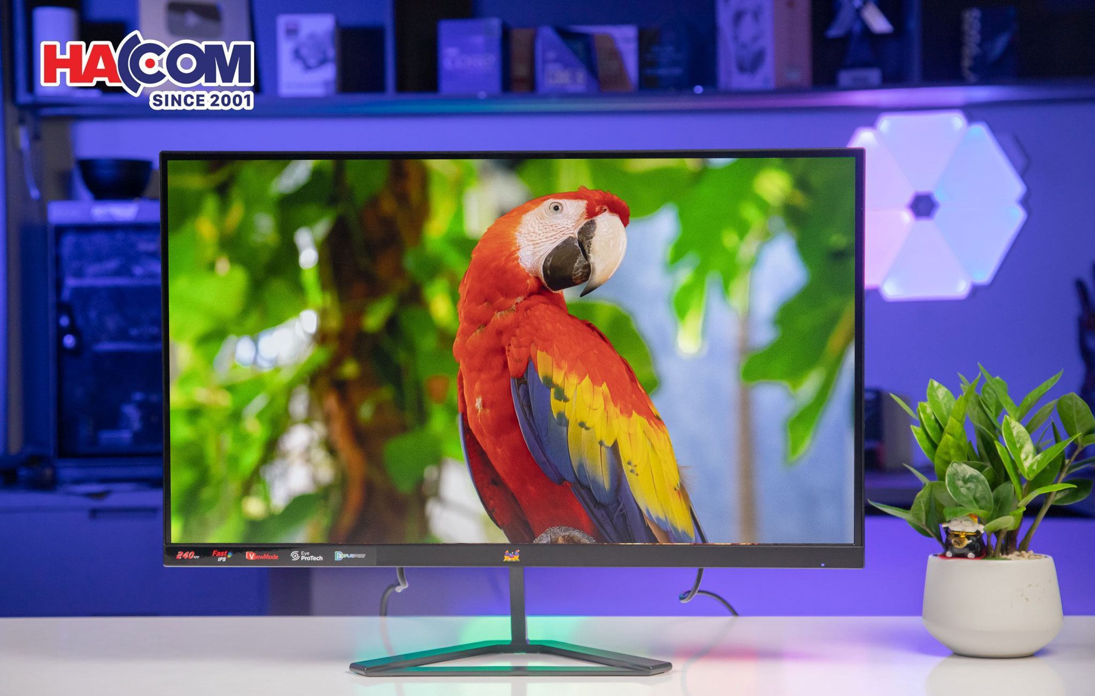 Màn hình Viewsonic VX2758A-2K-PRO-3 (27 inch/QHD/IPS/240Hz/1ms)