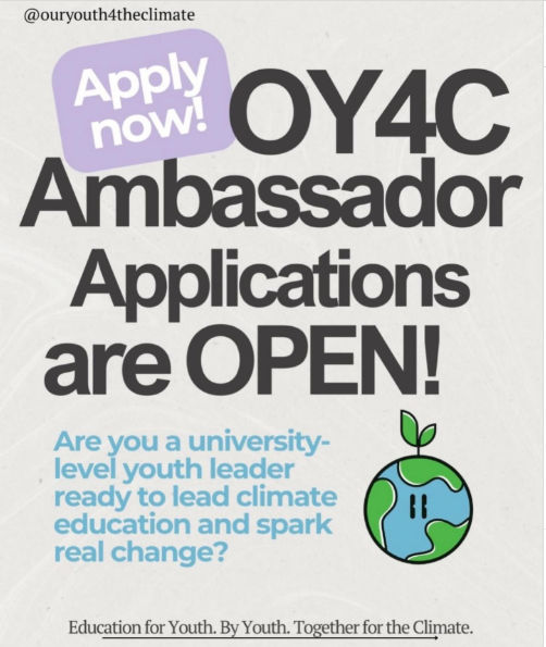 Applications are open for OY4C Ambassador program!