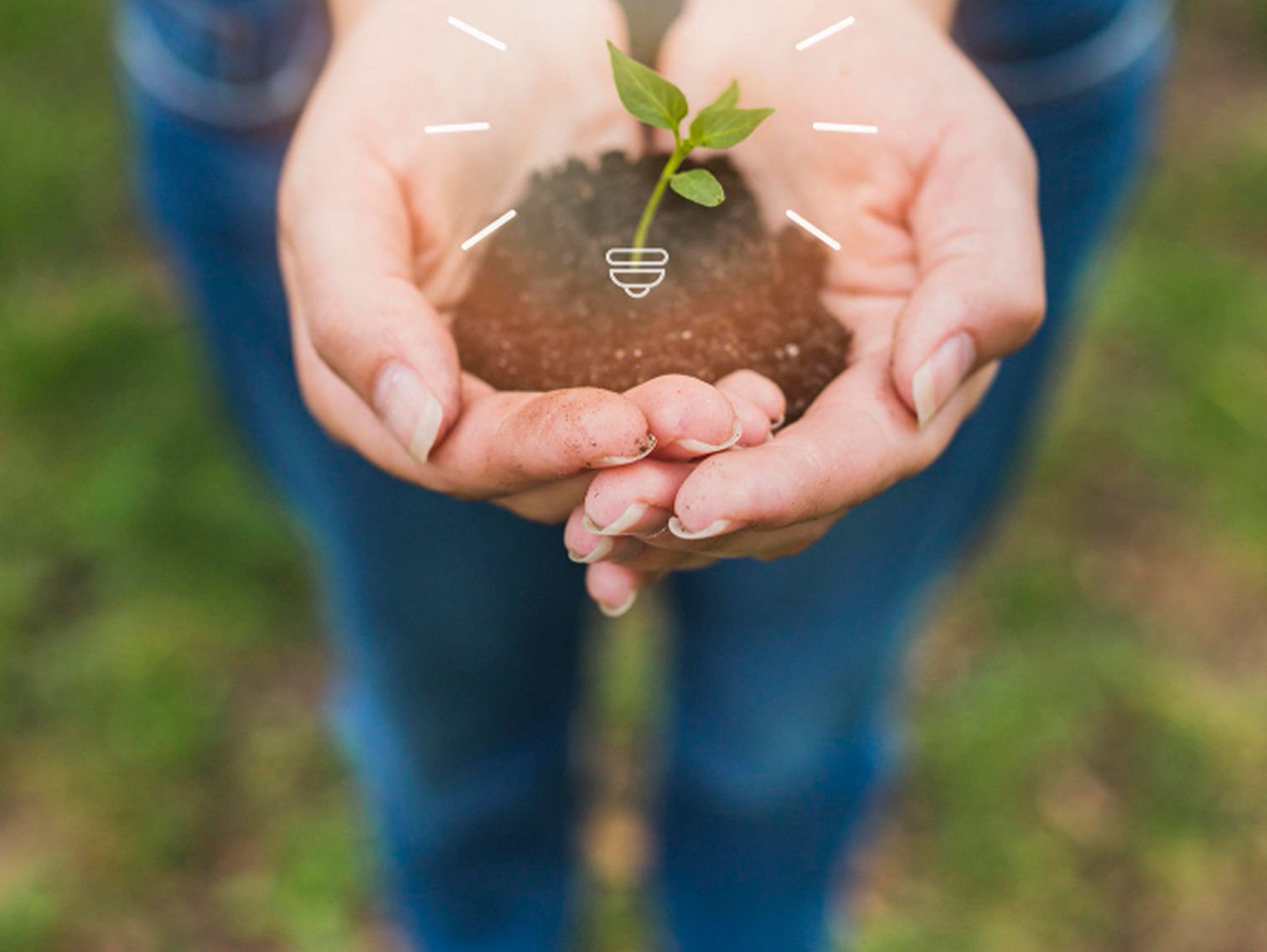  The "Hidden" Carbon Footprint of Our Digital Lives