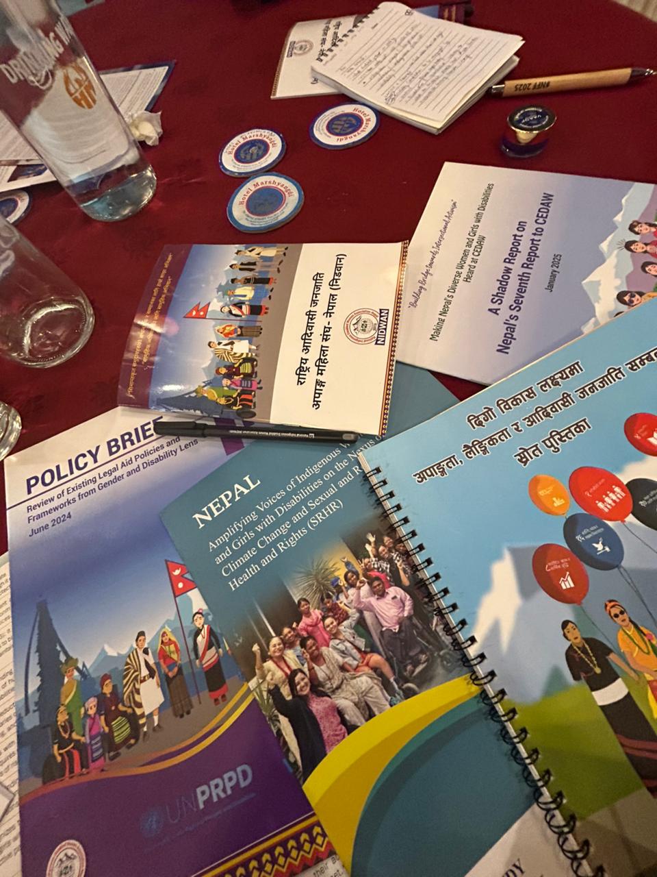 Disability Inclusion and an Intersectional Lens in Climate Conversations Among Youth Organizations