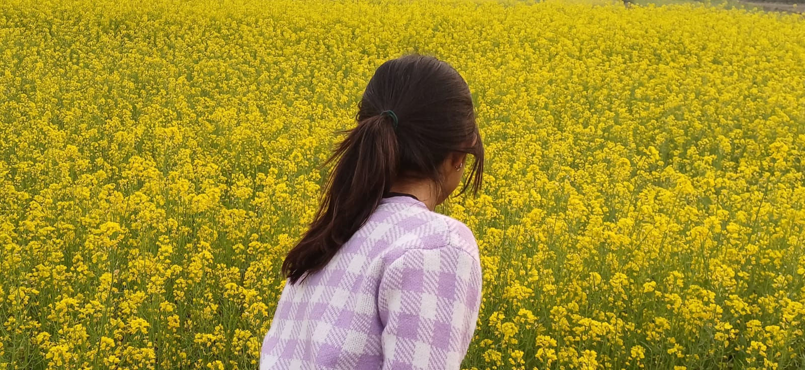 The road carved by instincts: Monika, finds her way through climate space 