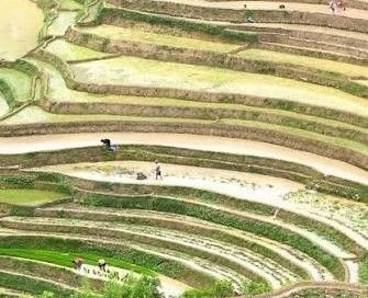 Agricultural Resilience in Nepal: Learning from the Past, Building for the Future