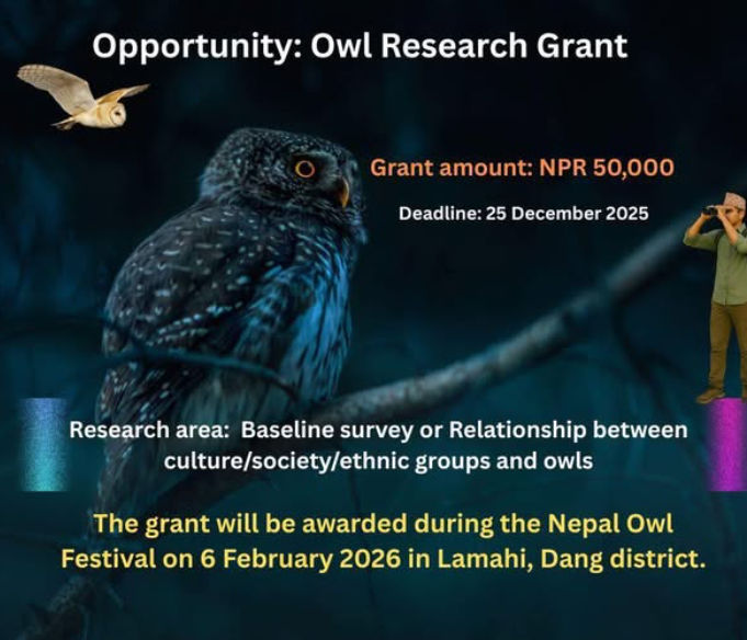 Owl Research Grant Opportunity Logo
