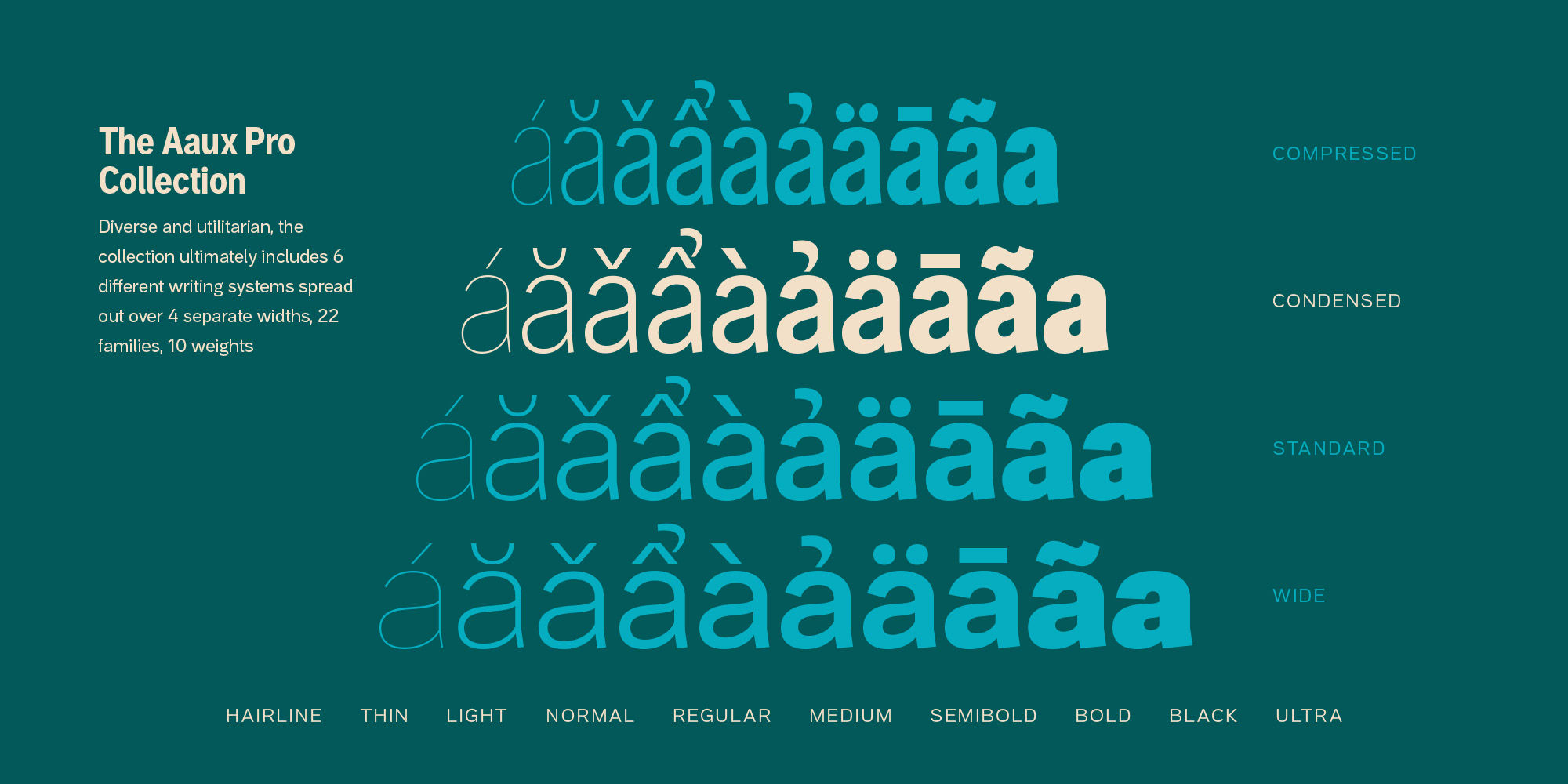 aaux-pro-condensed-poster-AauxProCond-2x1-03-d60bee94.jpg