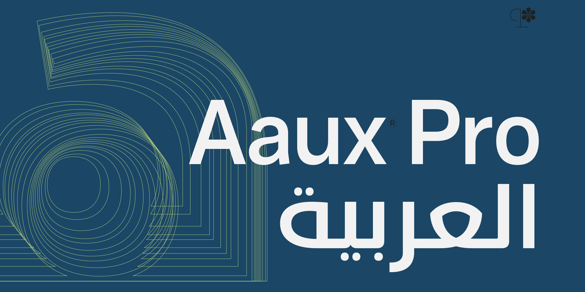 aaux-pro-poster-AauxArabic-2x1-01-ca397e0a.jpg