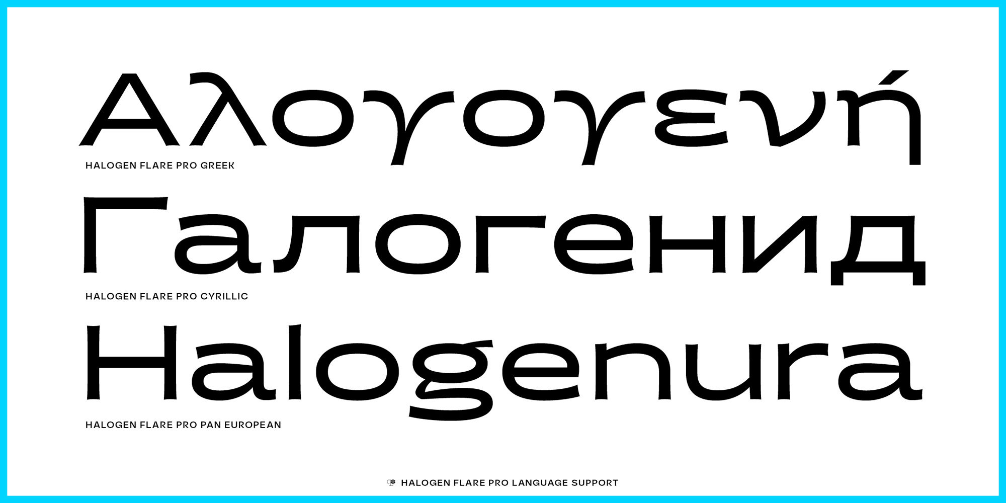 halogen-flare-poster-HalogenFlarePro10-f58d08b2.jpg