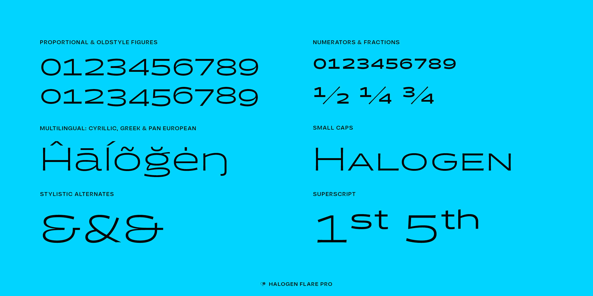 halogen-flare-poster-HalogenFlarePro7-6e7d2192.jpg