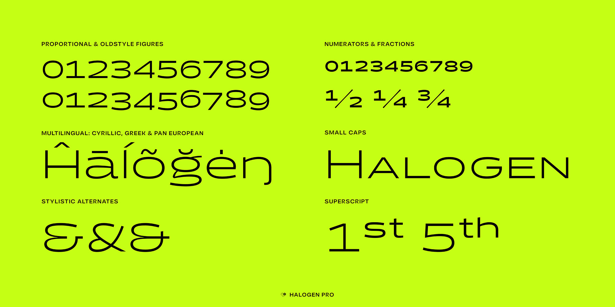 halogen-pro-poster-HalogenPro7-4408169c.jpg
