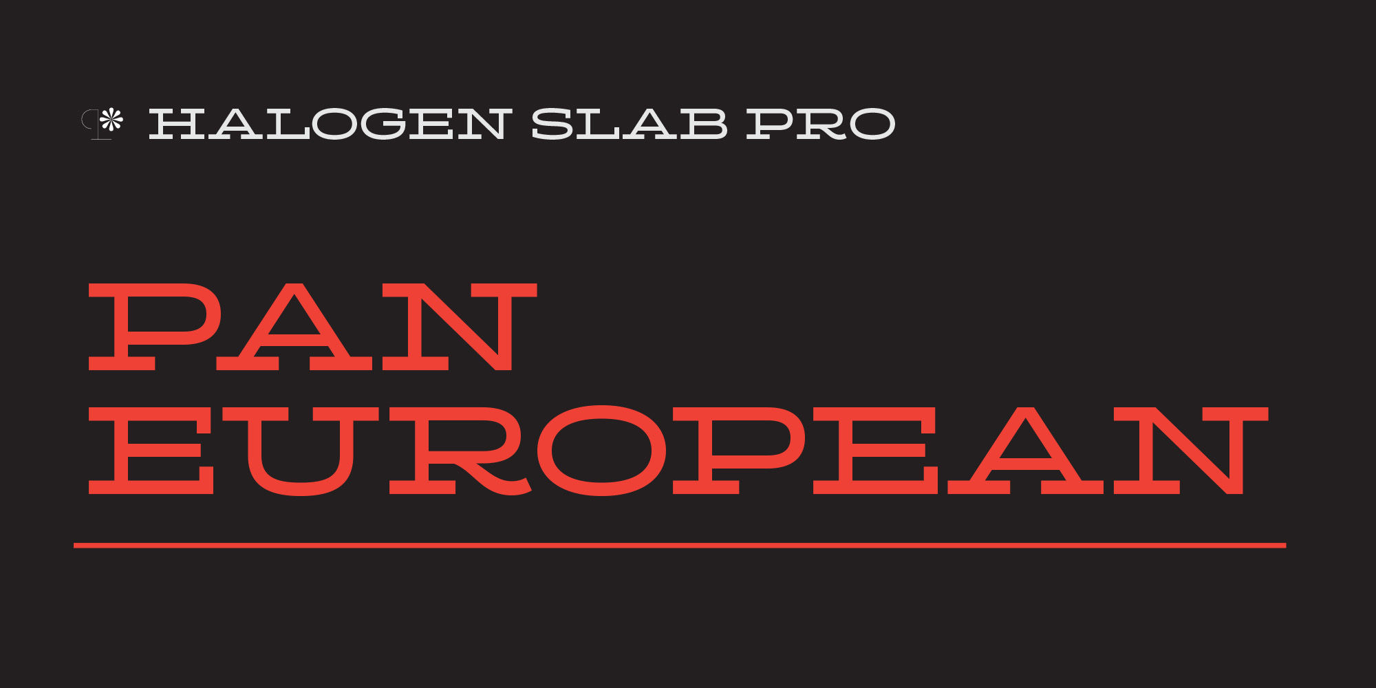 halogen-slab-pro-pe-poster-HalogenSlabProPE-01-5459cef3.jpg