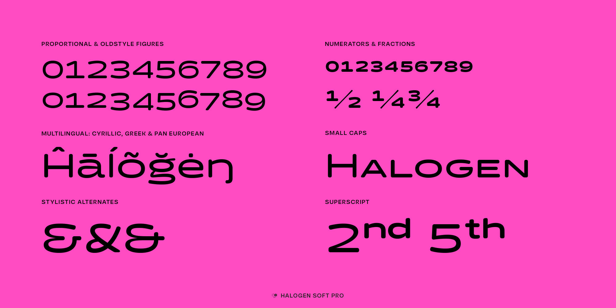 halogen-soft-pro-poster-HalogenSoftPro-07-51de04ea.jpg