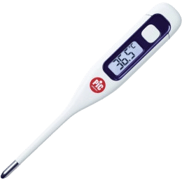 Thermomètre électronique