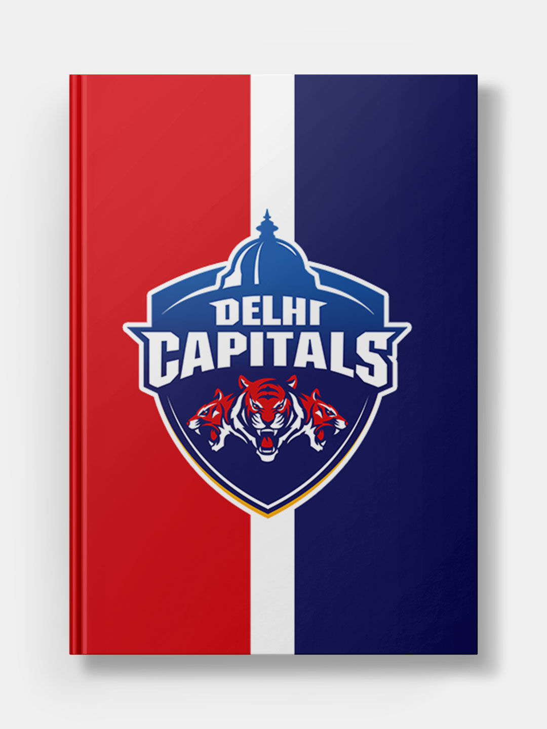 If you are wondering what's the meaning of Delhi Capitals, co-owners explain